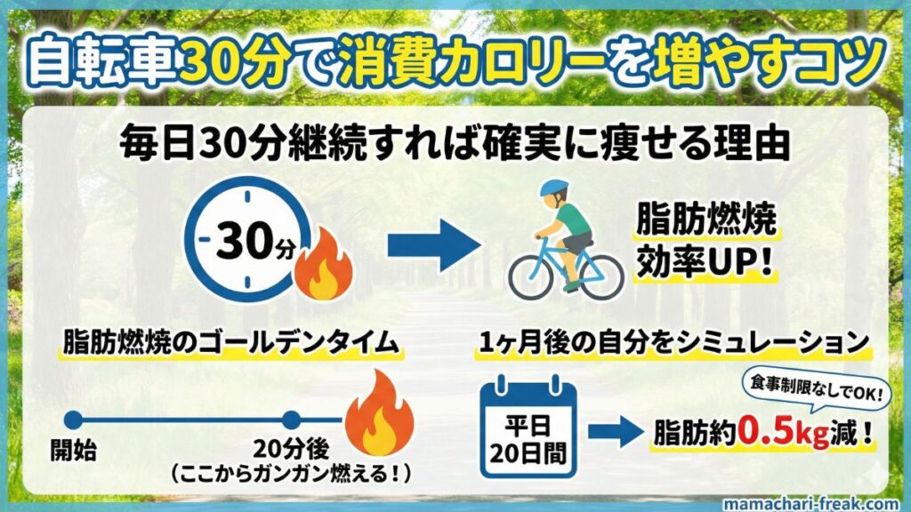 自転車30分で消費カロリーを増やすコツ